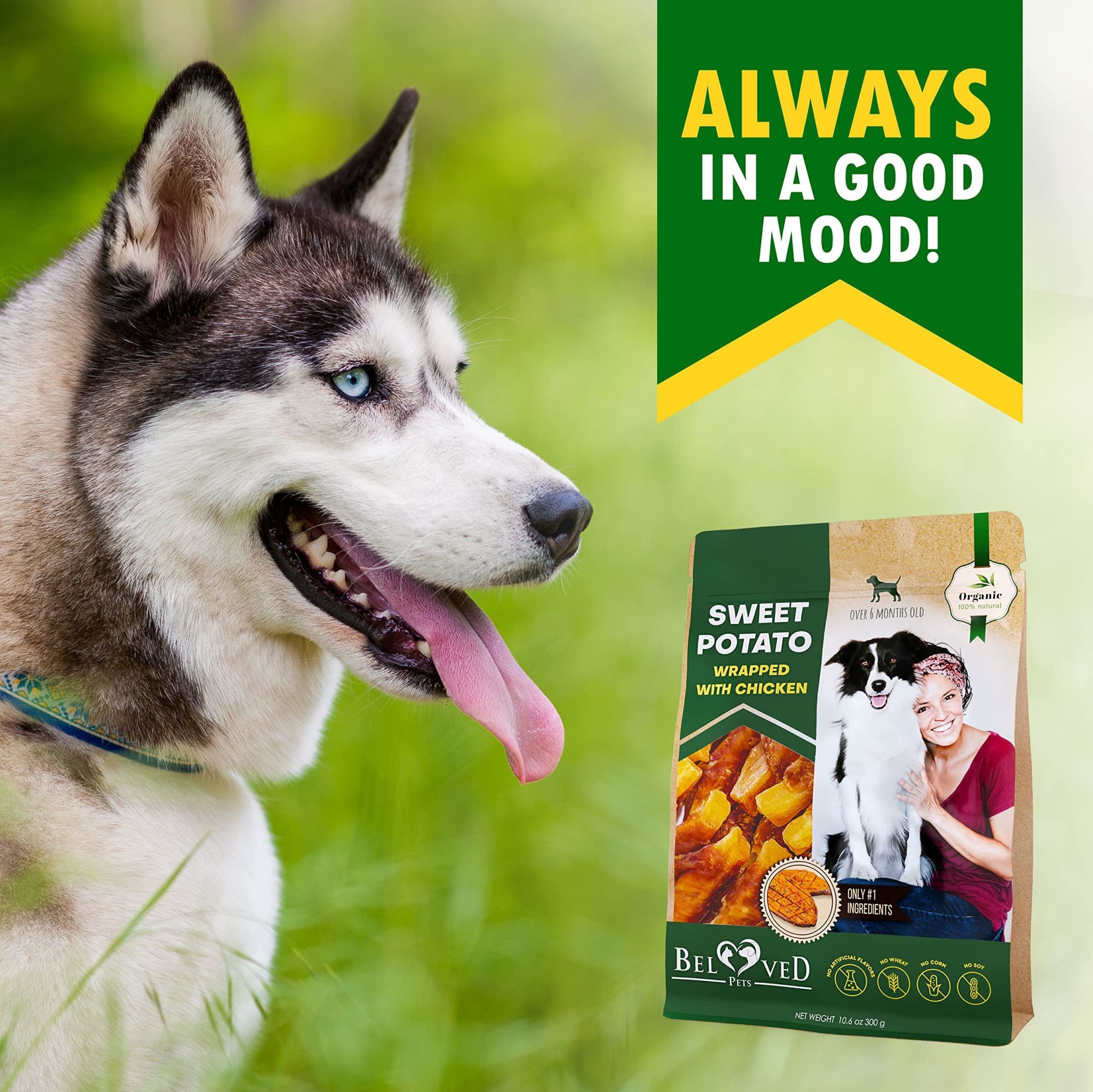 Natural Organic Sweet Potato Wrapped with Chicken Treats for Dogs
