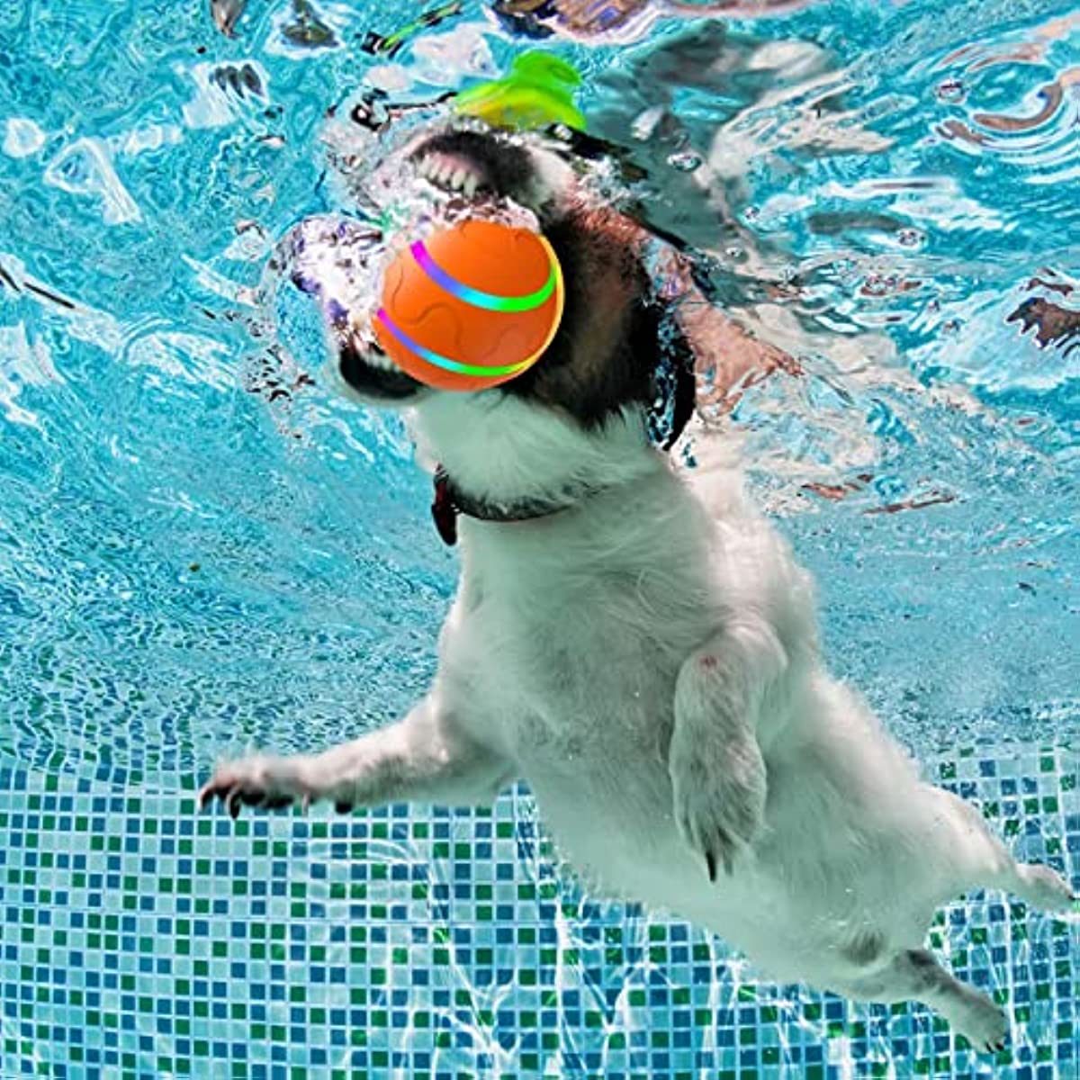 Interactive Rolling Ball for Dogs and Cats