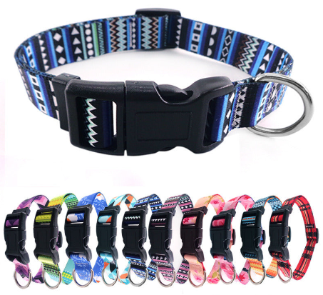 Harnesses and Collars