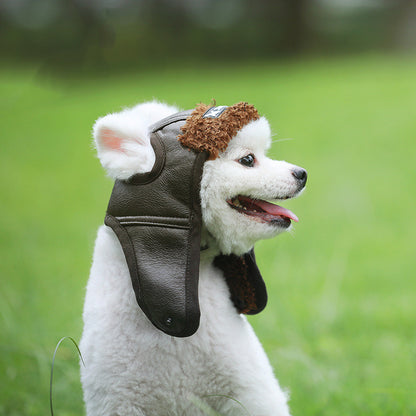 Funny Winter Vintage Style Hats for Dogs