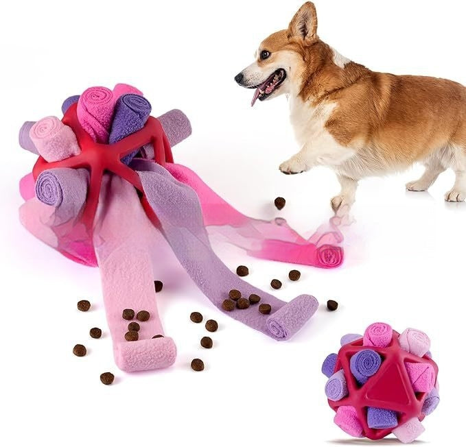 Sniffing Snuffle Goodie Training Toy Ball