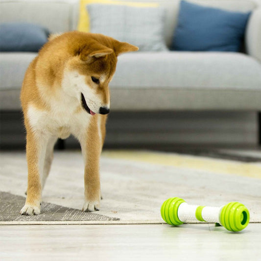 Happy Bouncing Bone Interactive Toy for Dogs