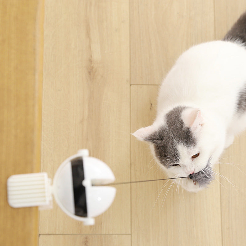 Powered Interactive Lifting Teaser Cat Toy