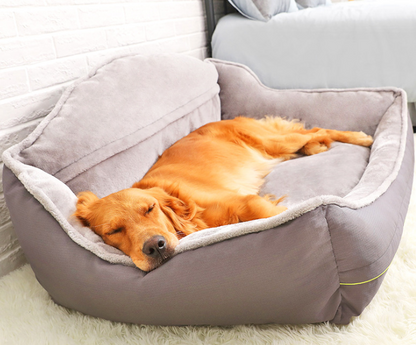 Sofa Style Dog Beds for Healthy Lounging