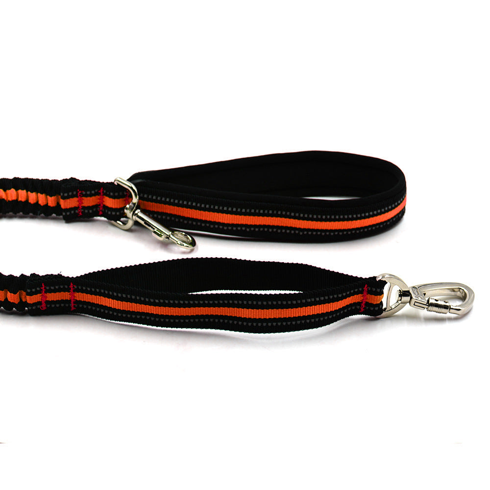 Reflective Hands Free Dog Leash with Storage