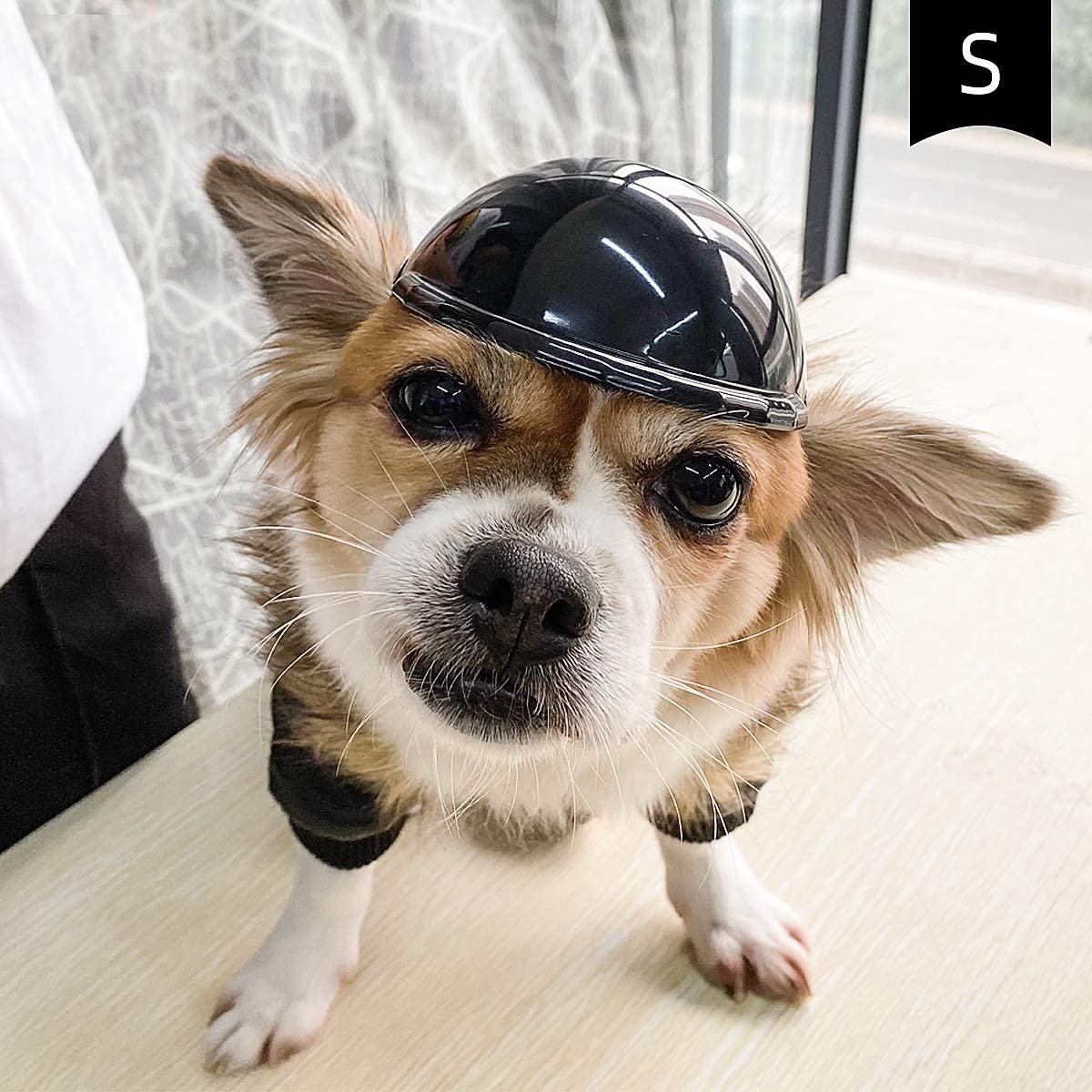 Motorcycle Safety Helmet and Goggles for Dogs