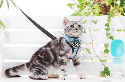 Sling Style Nylon Cat Collar and Leash Set