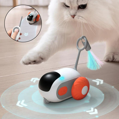 USB Rechargeable Interactive Remote Cat Toy