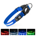 Waterproof LED Lit Collar for Dogs