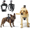 Harness for Dog to Wear GoPro Hero Camera