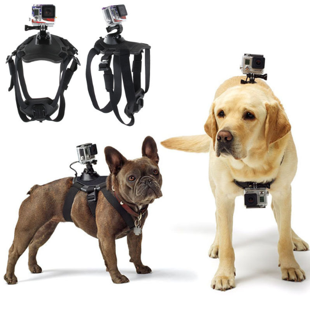 Harness for Dog to Wear GoPro Hero Camera