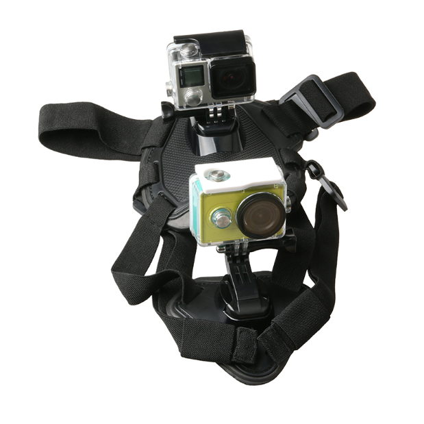 Harness for Dog to Wear GoPro Hero Camera