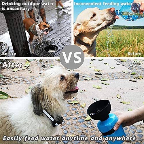 Foldable Bowl Travel Water Bottle for Dogs