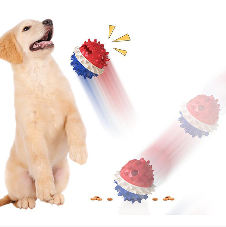 Dental Chew Toy and Treat Dispenser for Dogs