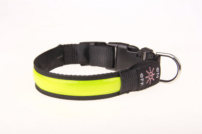 Fun Luminous Rechargeable Collar for Dogs