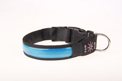 Fun Luminous Rechargeable Collar for Dogs