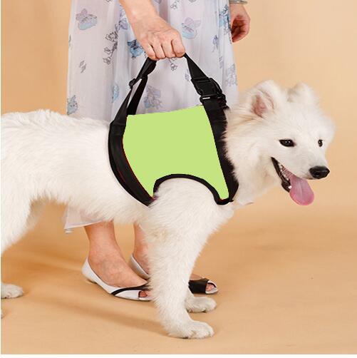 Elderly or Injured Dog Lifting Assist Belt