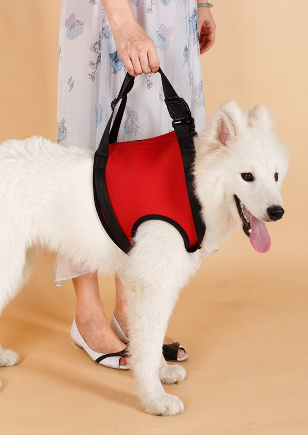 Elderly or Injured Dog Lifting Assist Belt