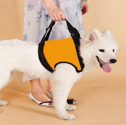 Elderly or Injured Dog Lifting Assist Belt