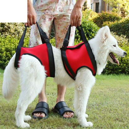 Elderly or Injured Dog Lifting Assist Belt