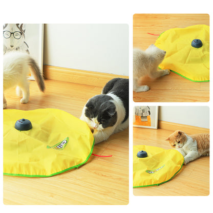 CAT-ch Me If You Can!  Rotating Toy for Cats