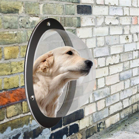 Transparent Acrylic Fence Window for Dogs