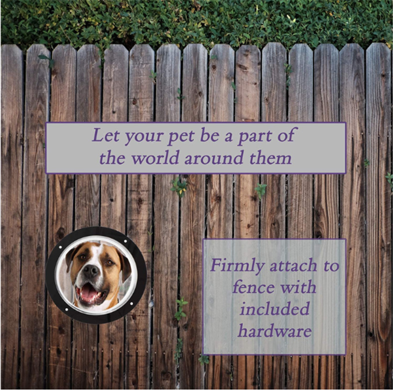 Transparent Acrylic Fence Window for Dogs