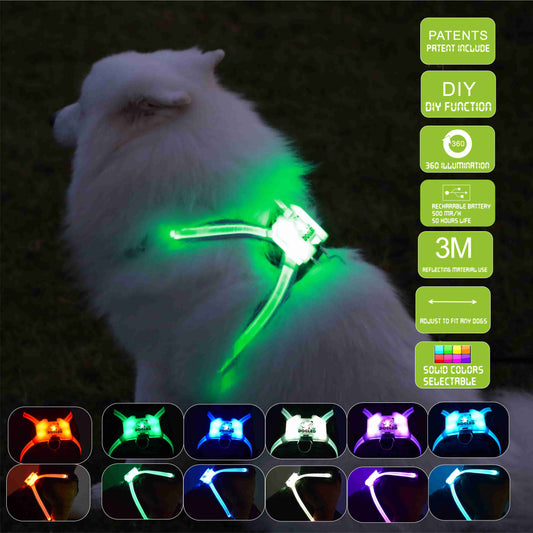 Luminous USB Rechargeable Dog Harness/Collar