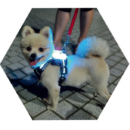 Luminous USB Rechargeable Dog Harness/Collar