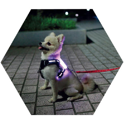 Luminous USB Rechargeable Dog Harness/Collar