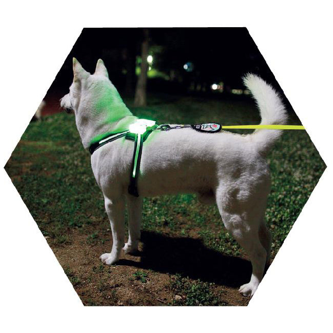 Luminous USB Rechargeable Dog Harness/Collar