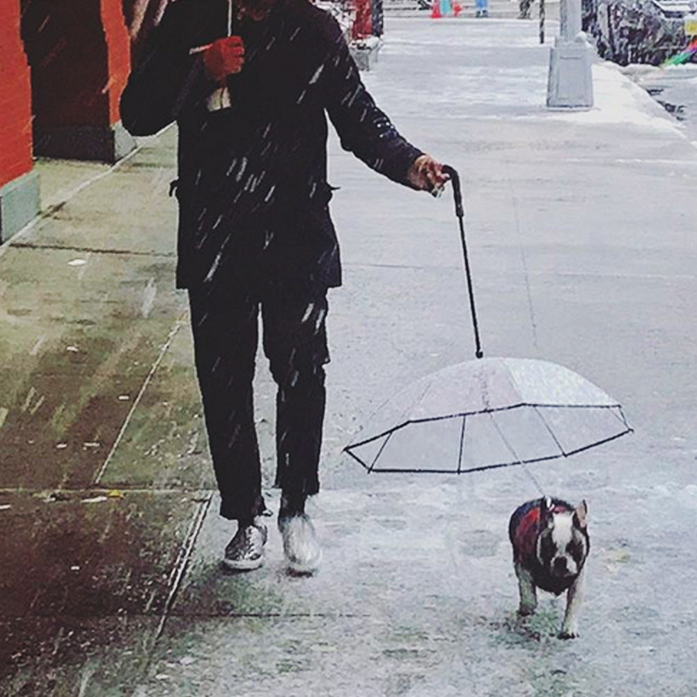 Fun Transparent Umbrella for Dog Walking