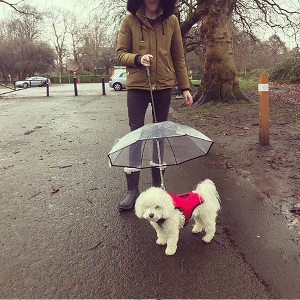 Fun Transparent Umbrella for Dog Walking