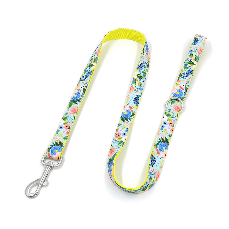 Colorful Leash and Collar Set for All Size Dogs