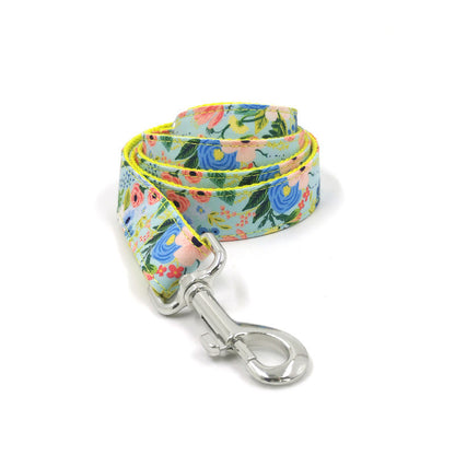 Colorful Leash and Collar Set for All Size Dogs