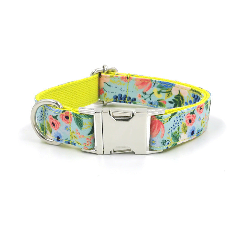 Colorful Leash and Collar Set for All Size Dogs