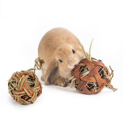 Natural Fiber Chewing Toy for Guinea Pigs