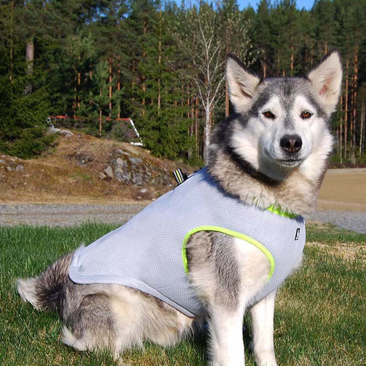 Summer Mesh Cooling Harness Vest for Dogs