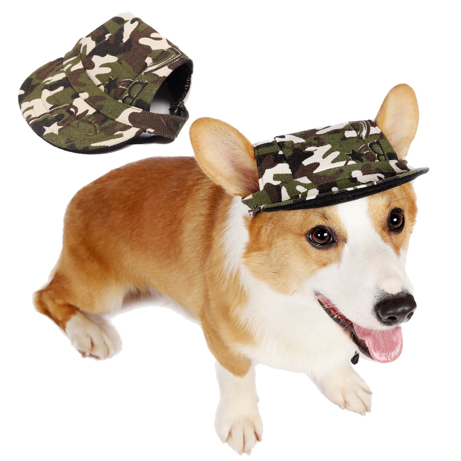 Fashion Protective Baseball Style Hat for Dogs