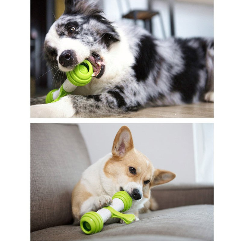 Happy Bouncing Bone Interactive Toy for Dogs