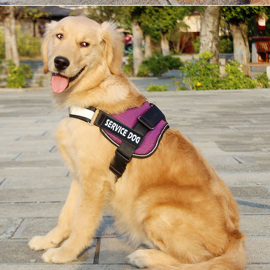 Reflective Chest Harness for Dogs with Service Dog Patch