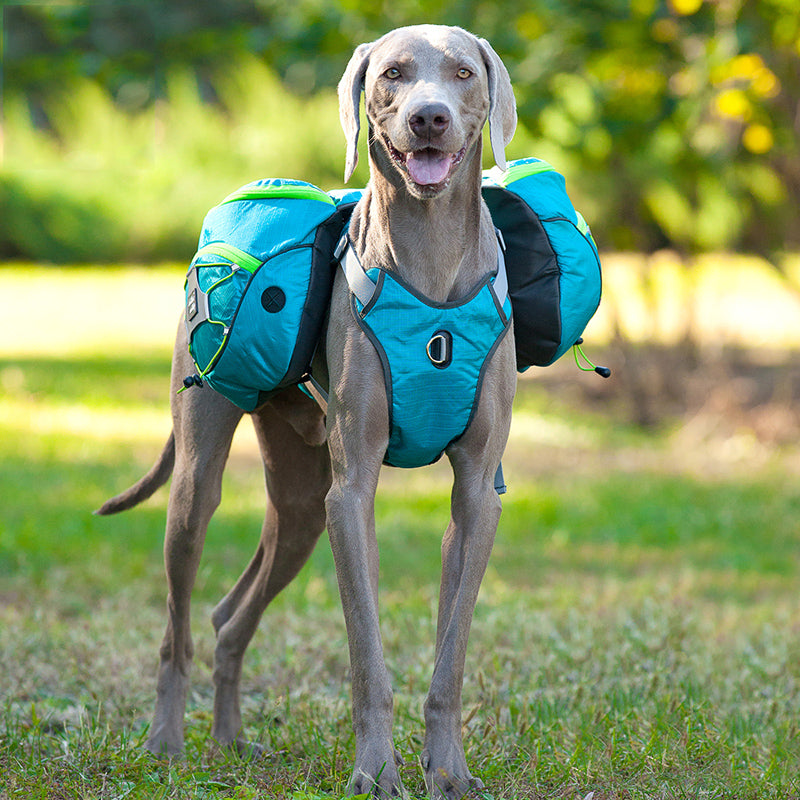 Reflective Backpack and Chest Harness for Dogs