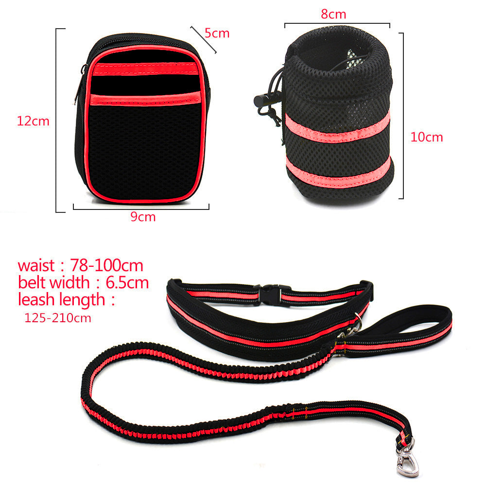 Reflective Hands Free Dog Leash with Storage