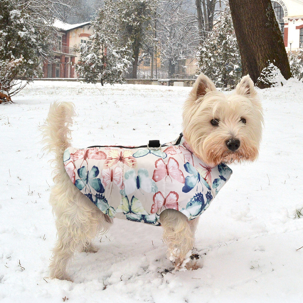 Warm Cozy Winter Zippered Jacket for Dogs