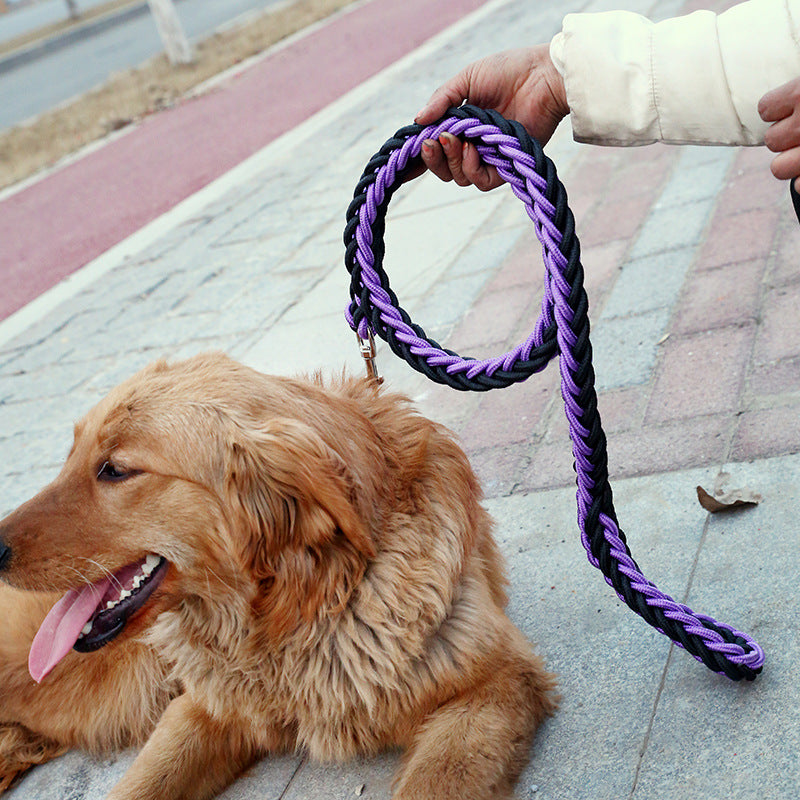 Dog Leashes with P-chain Collar for Strong Dogs