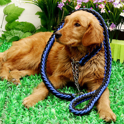 Dog Leashes with P-chain Collar for Strong Dogs