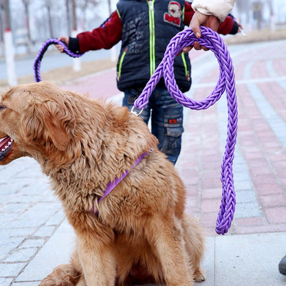 Dog Leashes with P-chain Collar for Strong Dogs