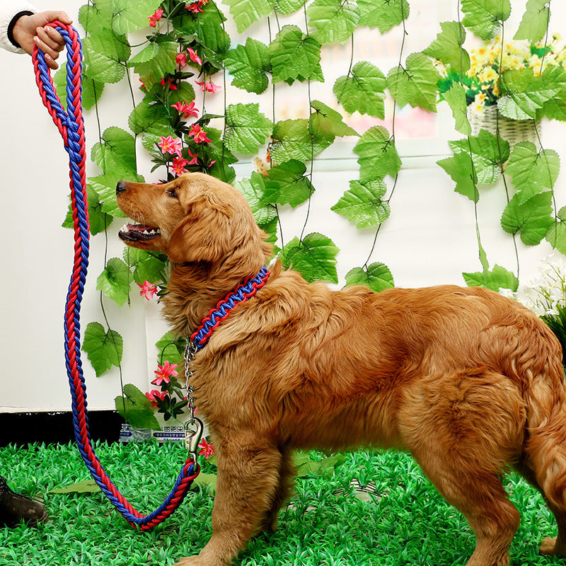 Dog Leashes with P-chain Collar for Strong Dogs