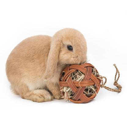 Natural Fiber Chewing Toy for Guinea Pigs