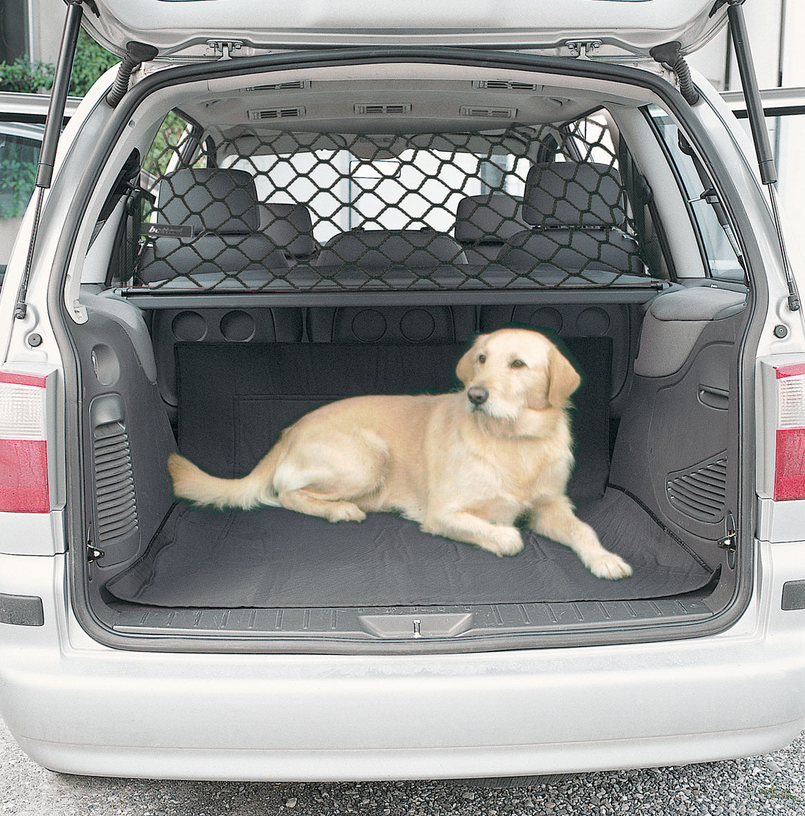 Cargo Area or Backseat Safety Net for Dogs